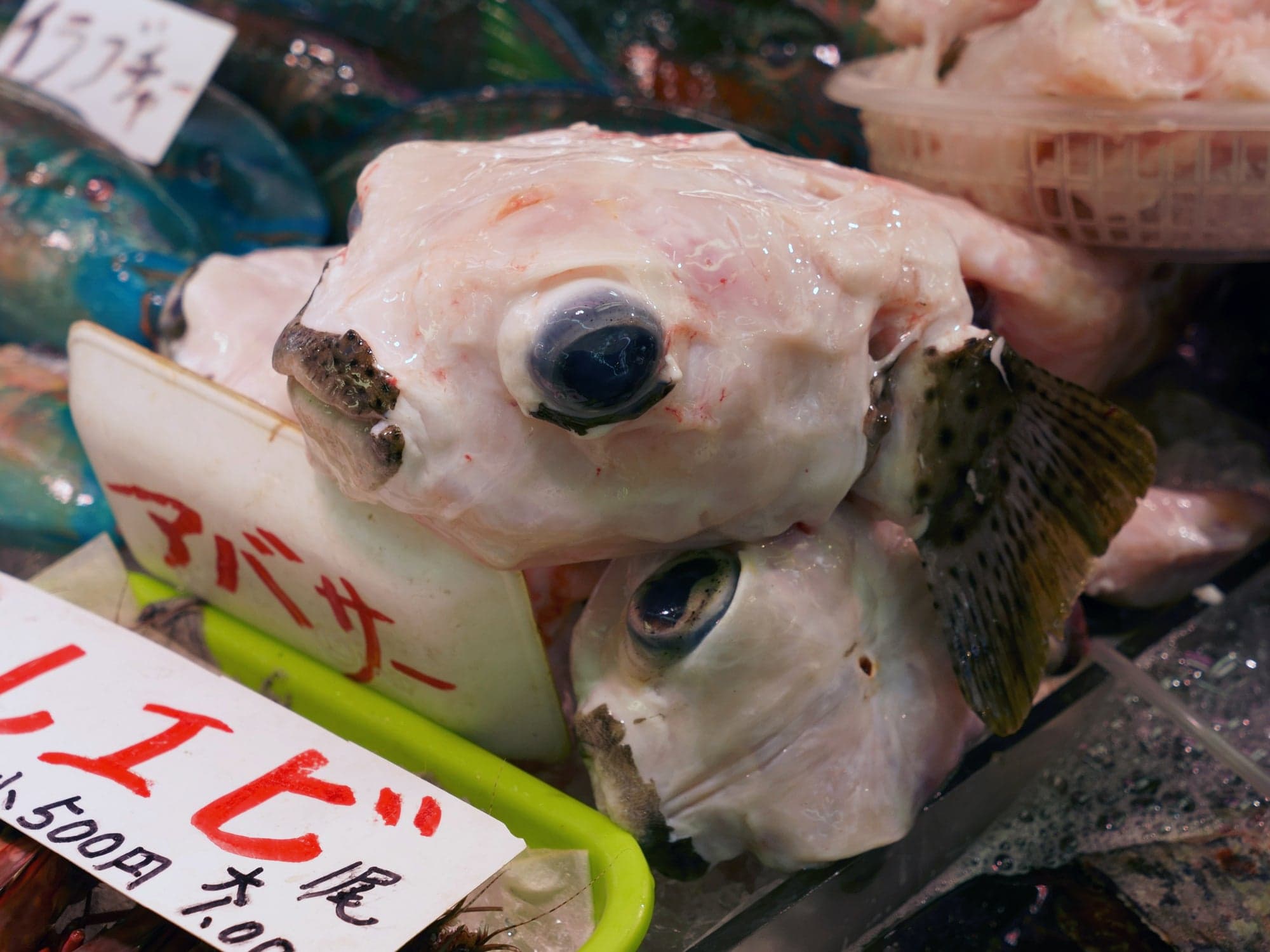 Fish Stall at Makishi Public Market; Okinawa, Japan