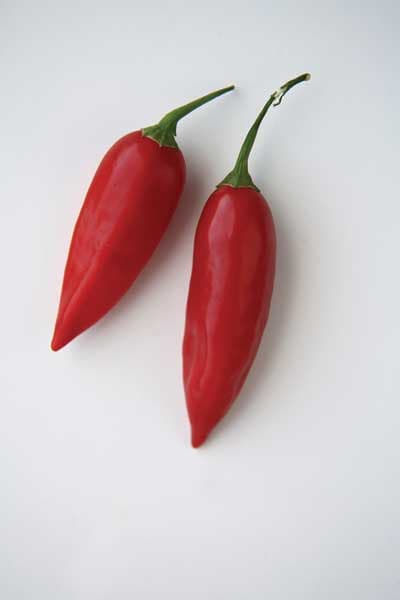 Peruvian Pointer Chile Pepper