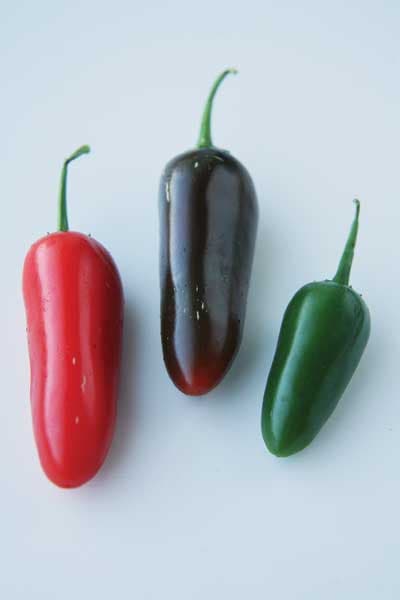 Serrano Chile Pepper