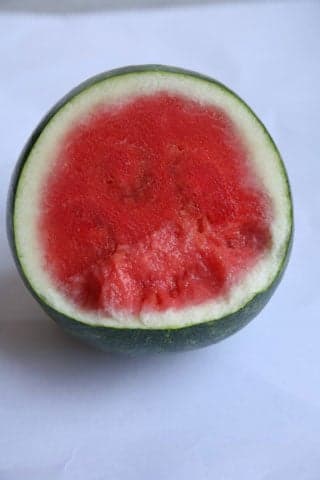 Extazy watermelon