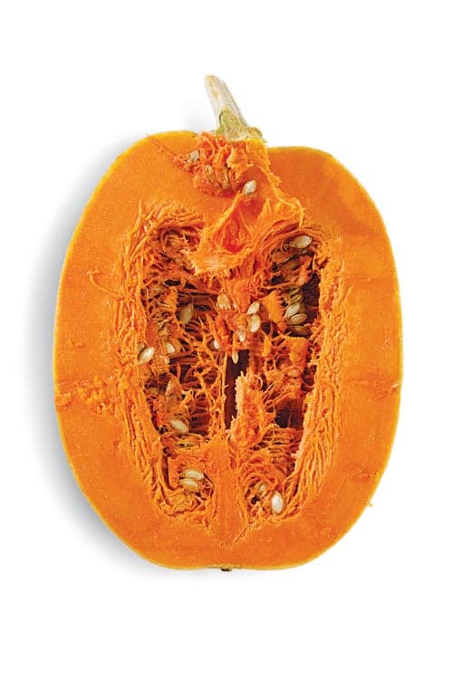 Dickinson pumpkin