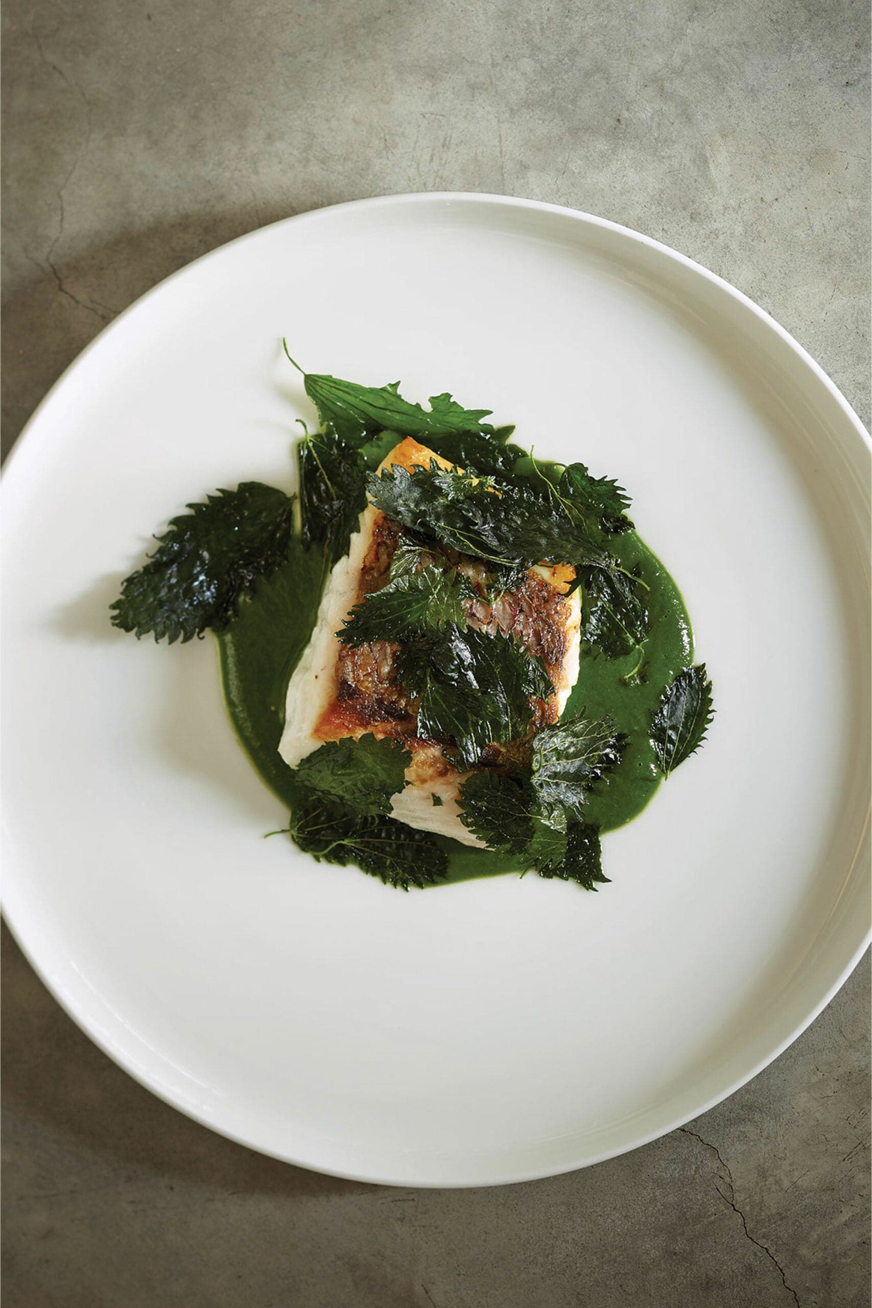 Seared Snapper with Nettle Sauce