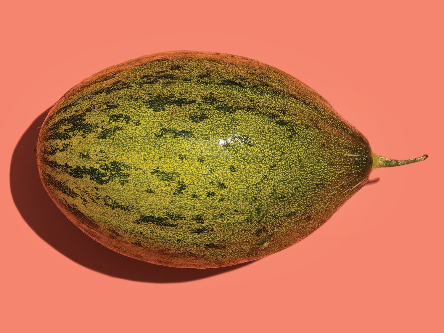 Piel de Sapo Melons