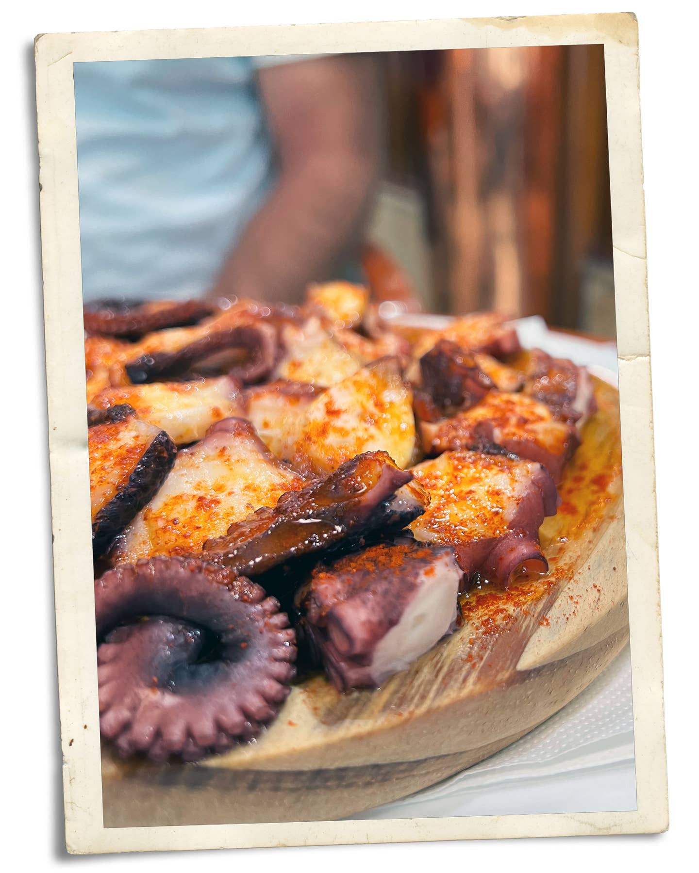 Pulpo