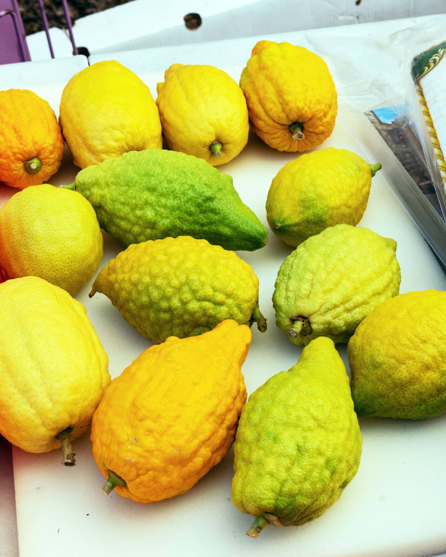 Etrog Citron