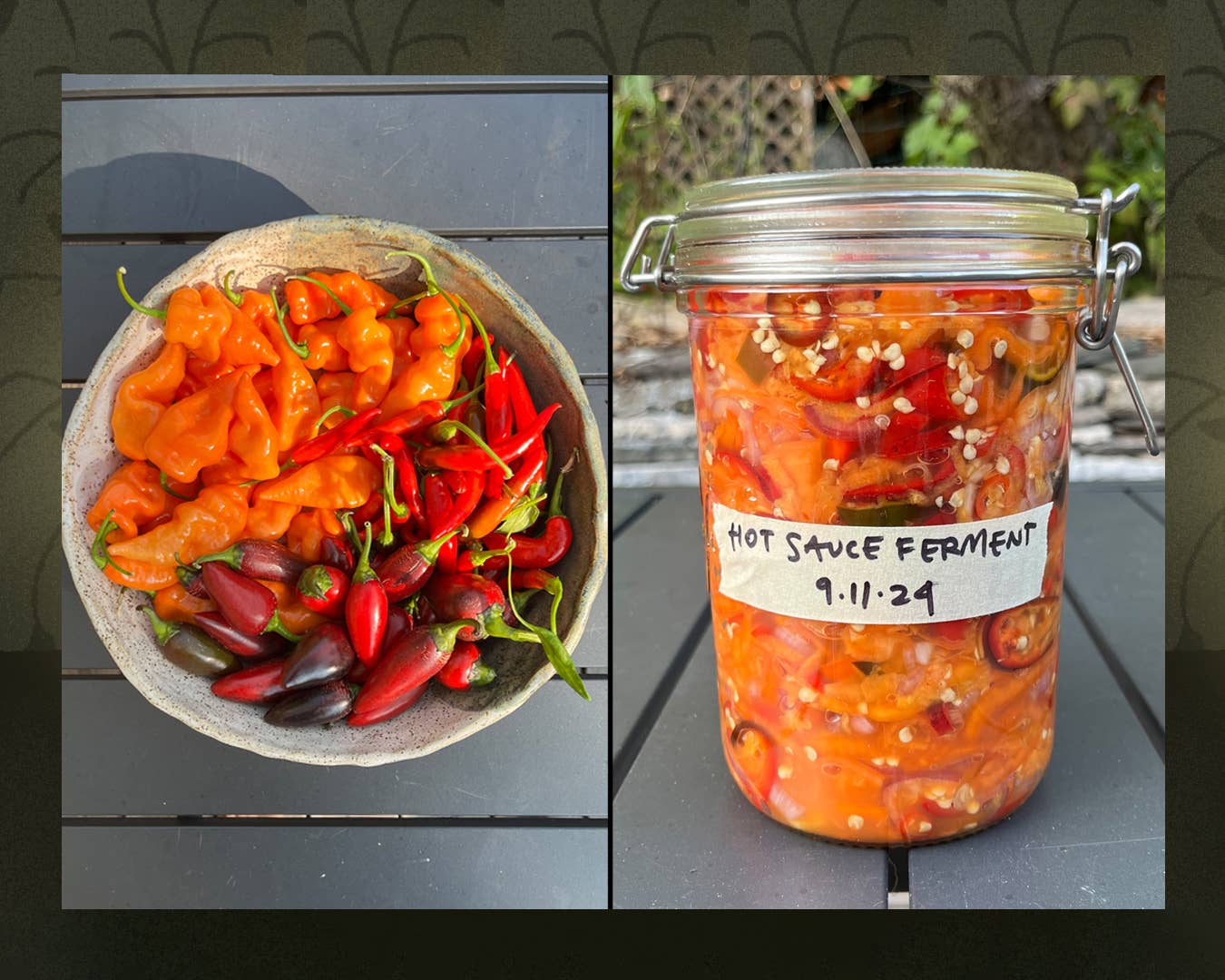 Plot to plate fermenting peppers diptych