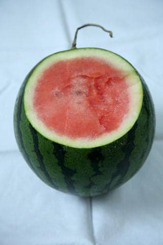 Starlight watermelon