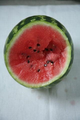 Sweet Favorite watermelon