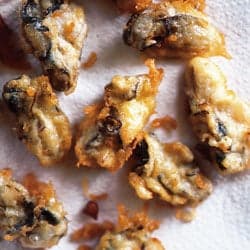 Oyster Fritters