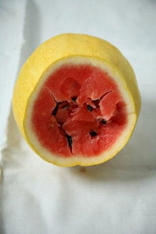 Golden Midget watermelon