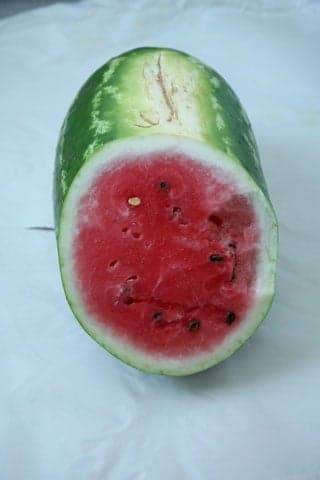 Sangria watermelon