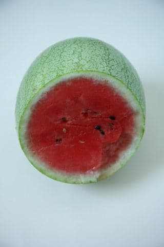 Mickylee watermelon
