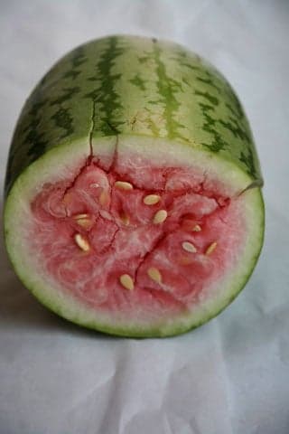 Jubilee watermelon