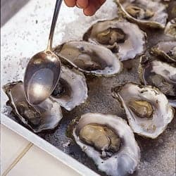 Roasted Oysters in White Wine