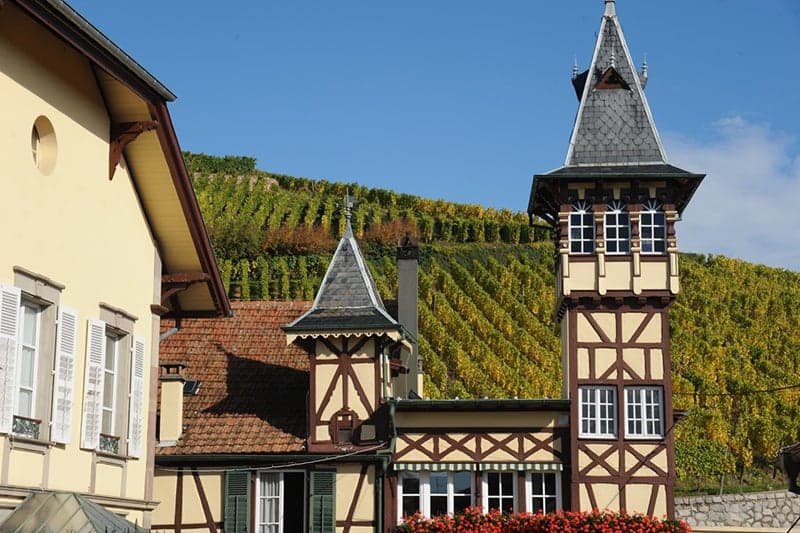 saveur culinary travel awards, best winery experience, maison trimbach alsace