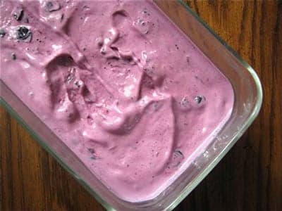 Blueberry-Vanilla Frozen Yogurt