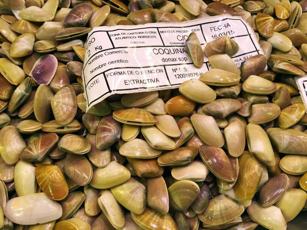 Travel, Spain, Boqueria baby clams