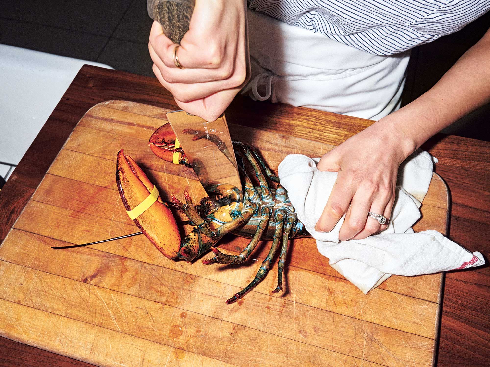 Killing the Lobster