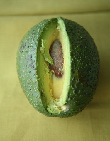 gwen avocado