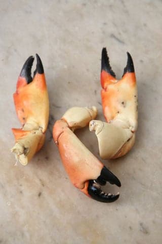 Stone Crabs