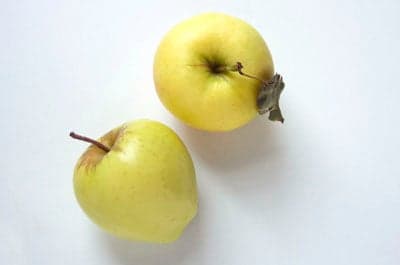 Ginger Gold apple
