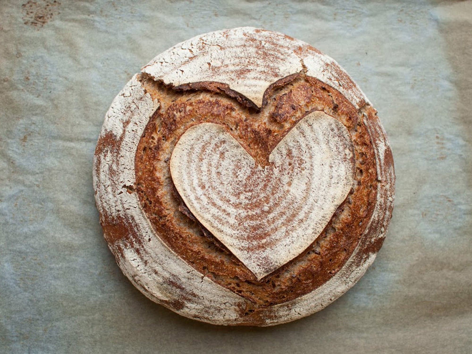 My Daily Sourdough Bread blog
