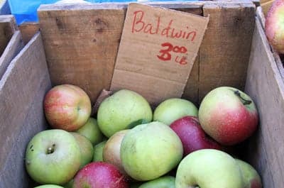 Baldwin apple
