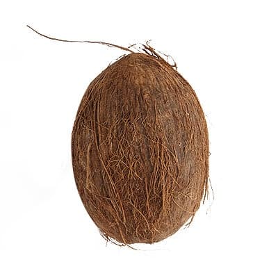 Whole Mature Coconut