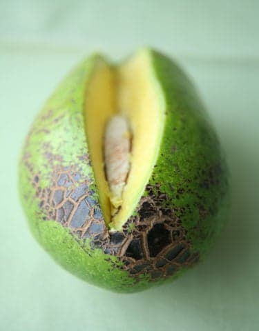 donnie avocado