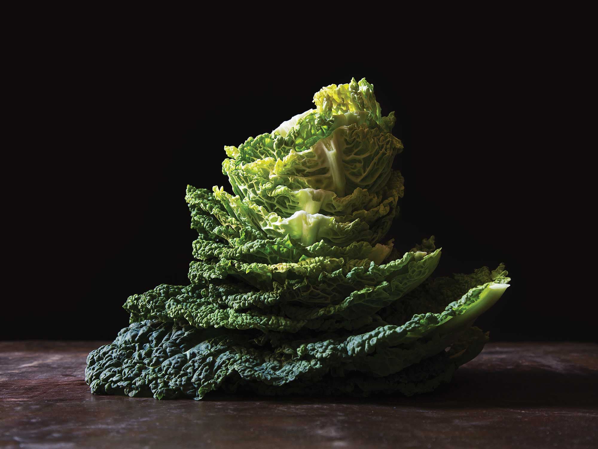 lou fassum cabbage