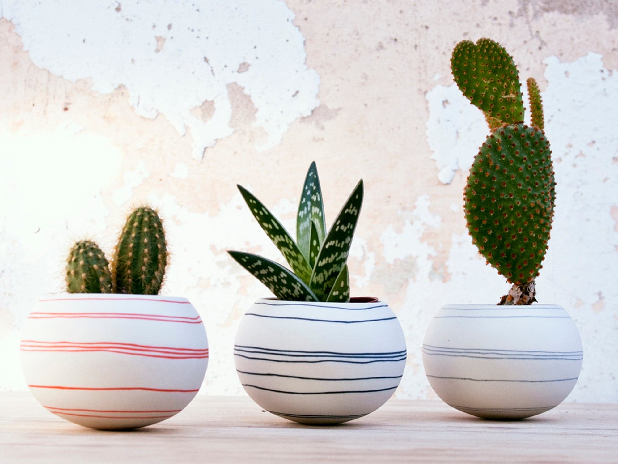 porcelain striped mini planter