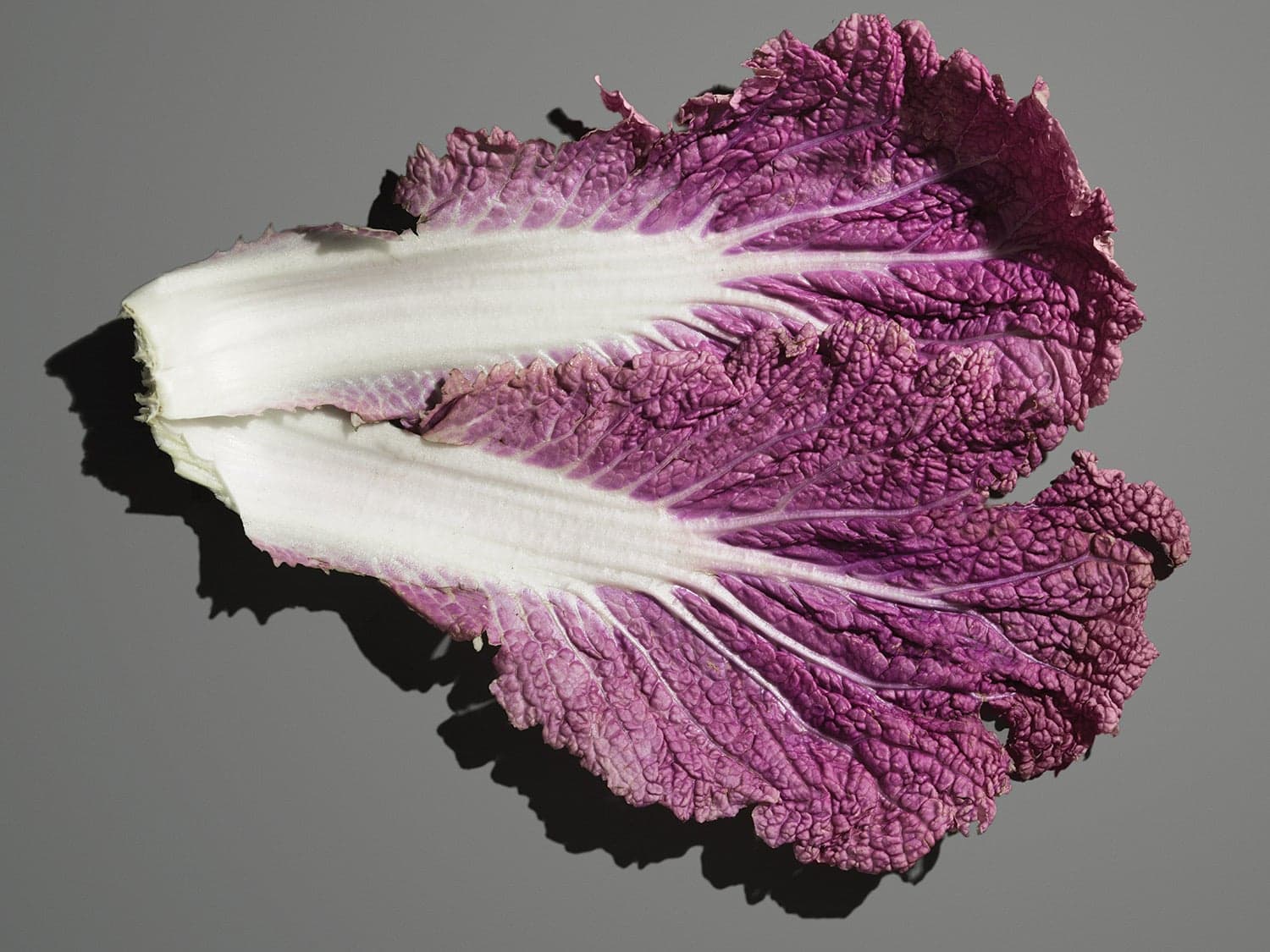 Scarlet (or Red) Chinese Cabbage