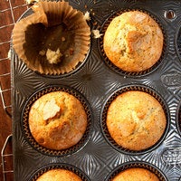 Lemon Poppy Seed Muffins-image