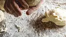 Naples-Style Pizza Dough (Pasta da Pizza)-image