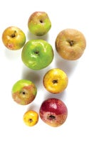 Spiced Hard Apple Cider-image
