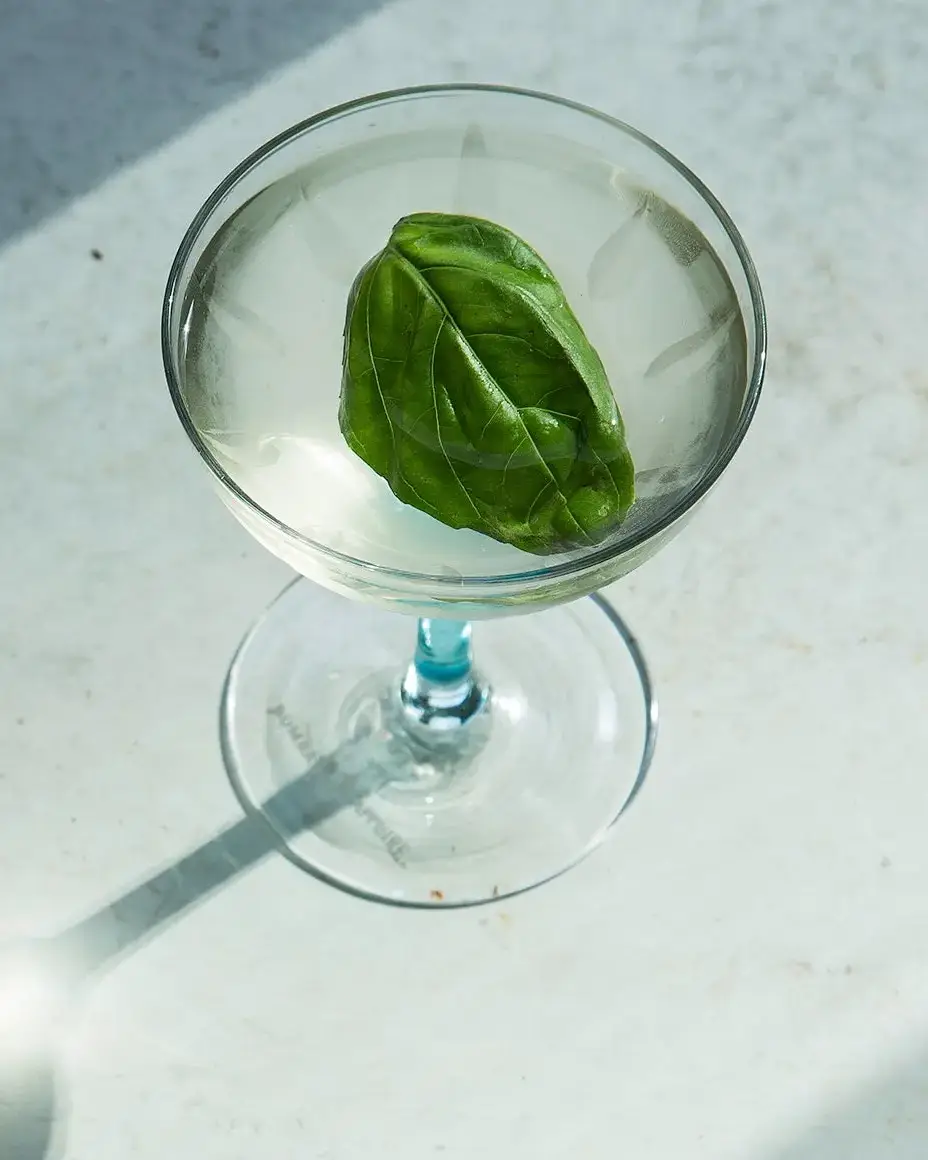 Basil Martini