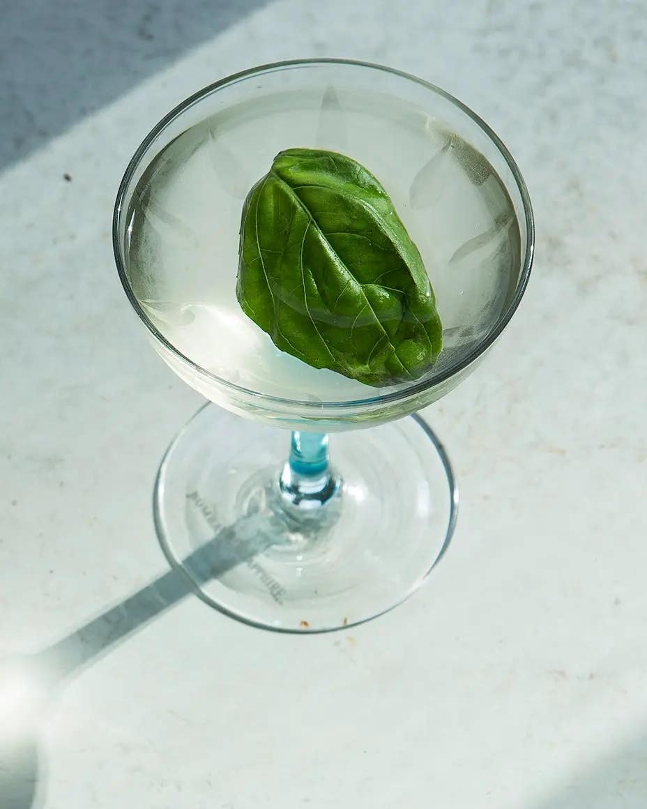 Basil Martini Basil Martini