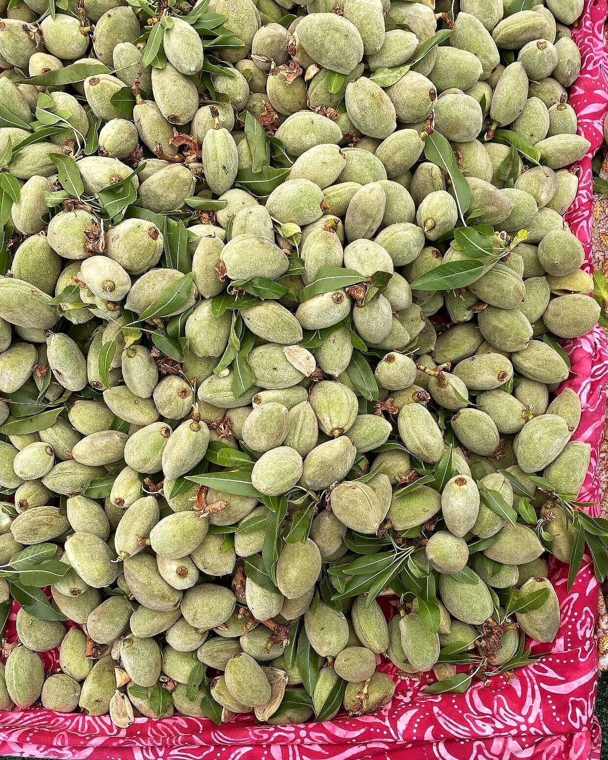 Green Almonds How to cook