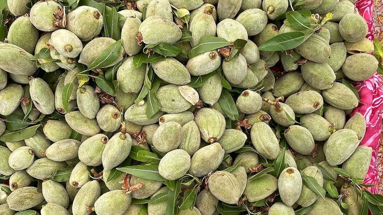 Green Almonds How to cook