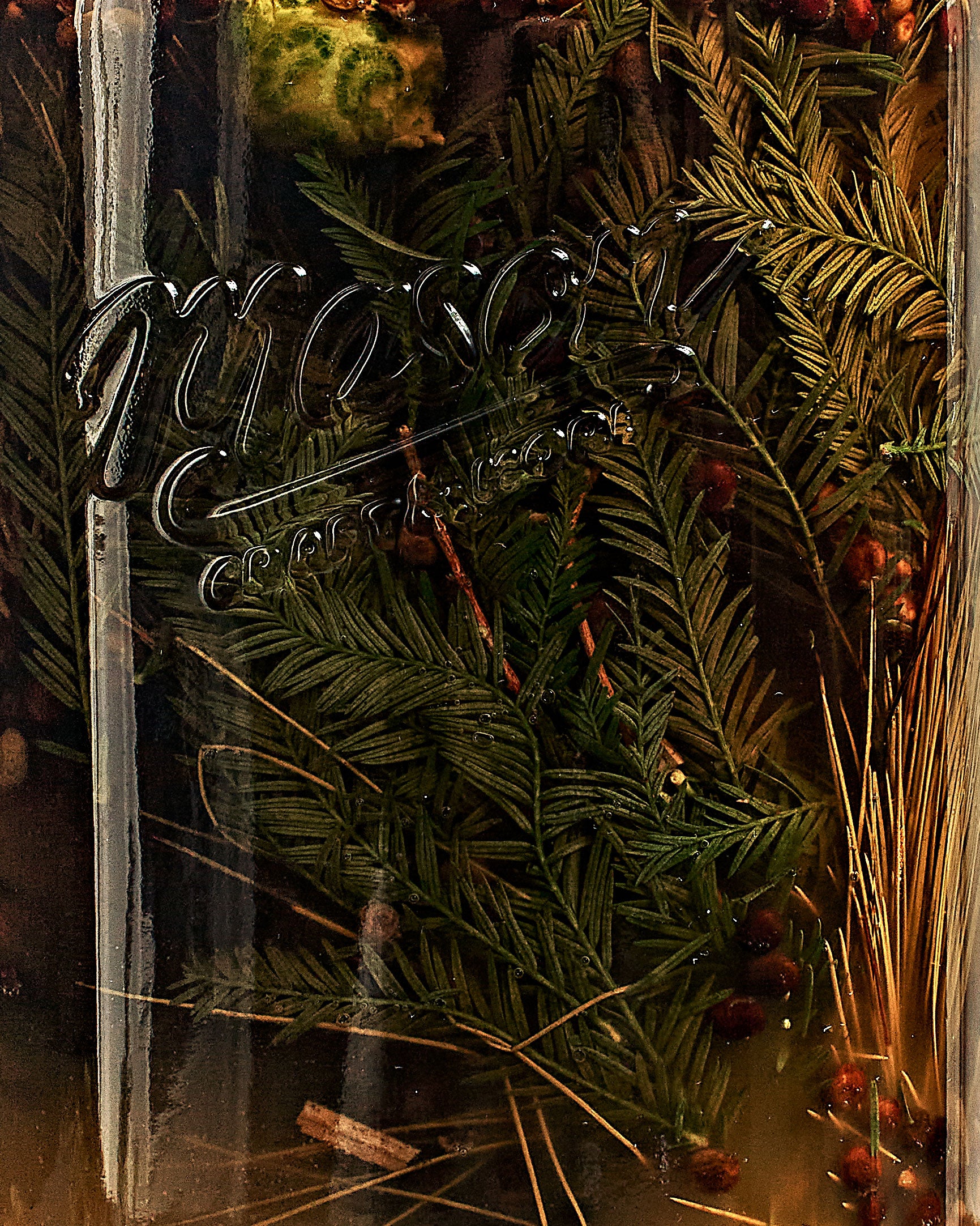 Alpine-Style Winter Amaro