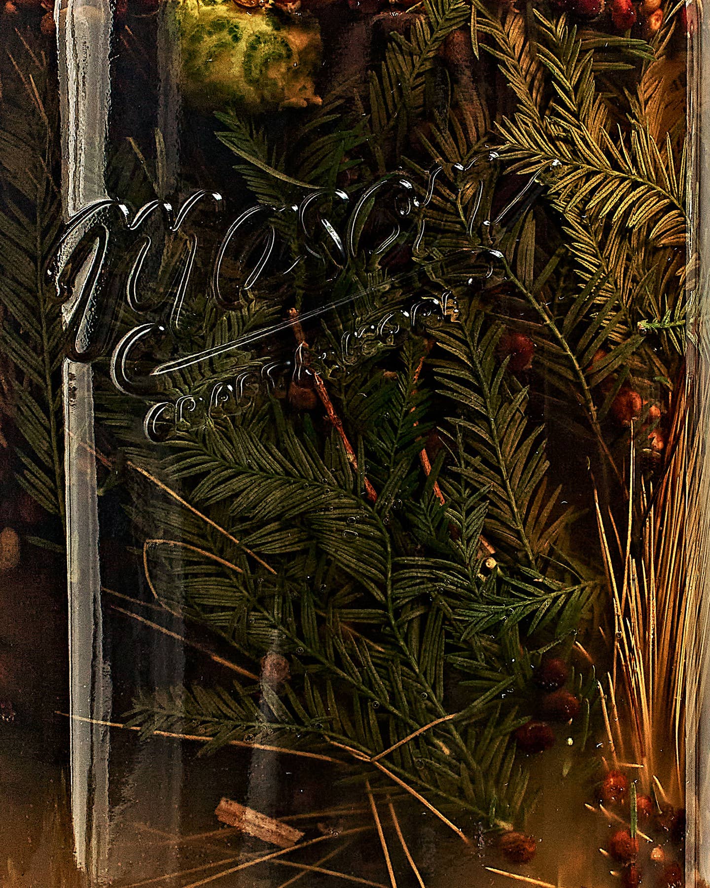 Alpine-Style Winter Amaro Alpine-Style Winter Amaro