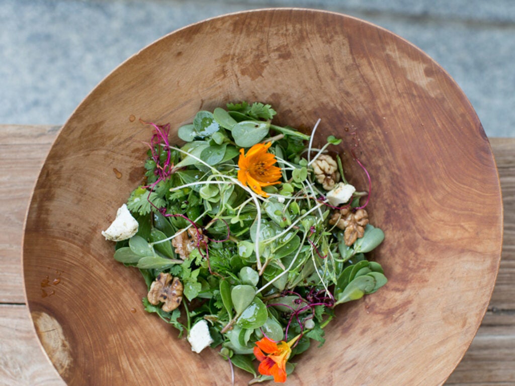 Purslane and Herb Salad