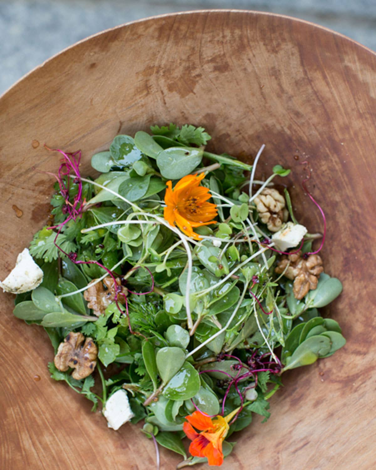 Purslane and Herb Salad