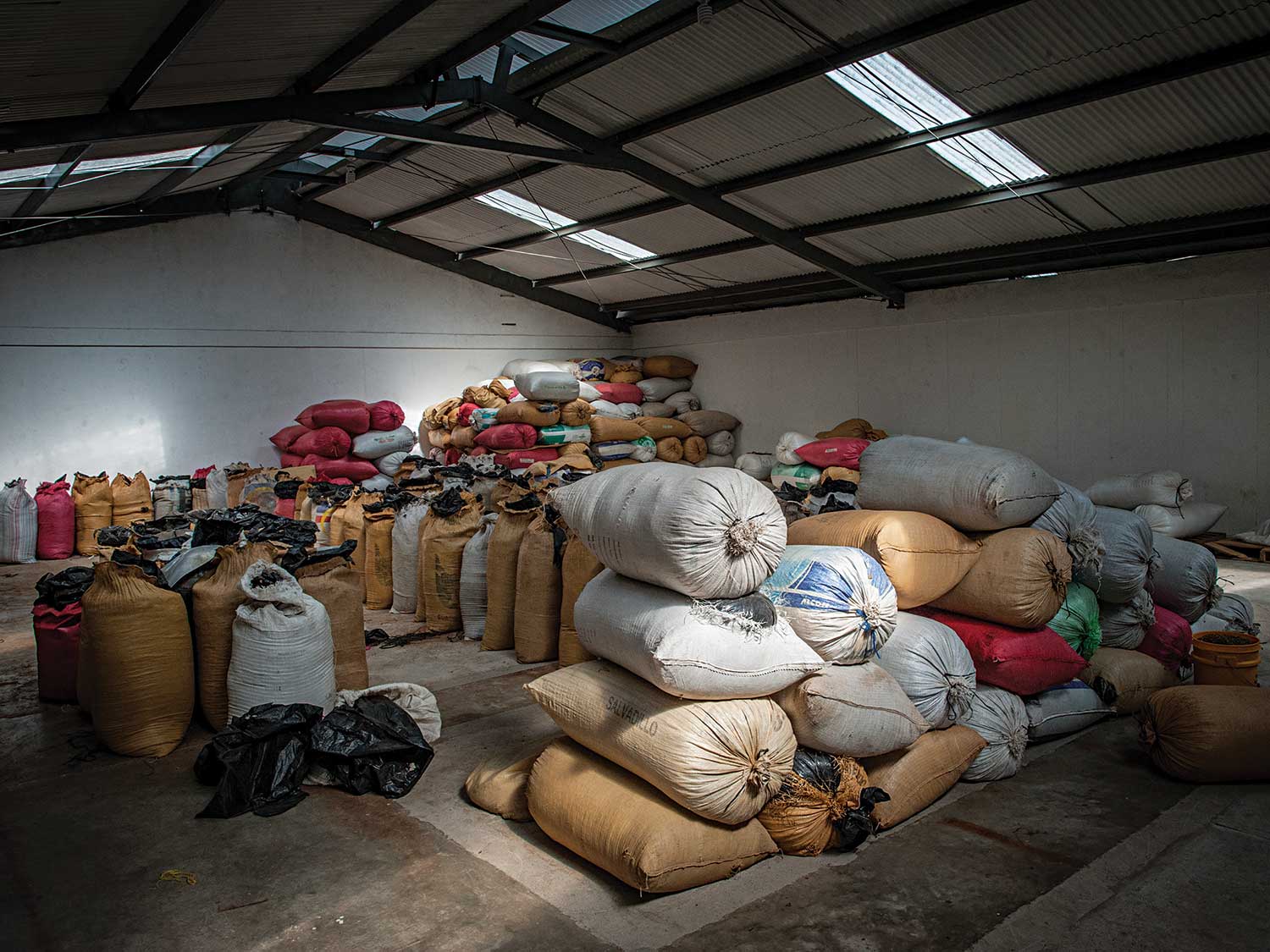 GUATEMALA CARDAMOM LATEST NEWS visual data 3