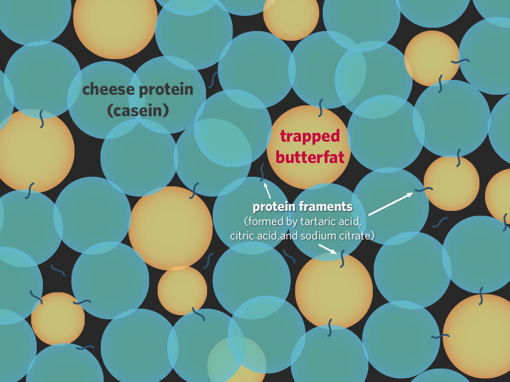 casein