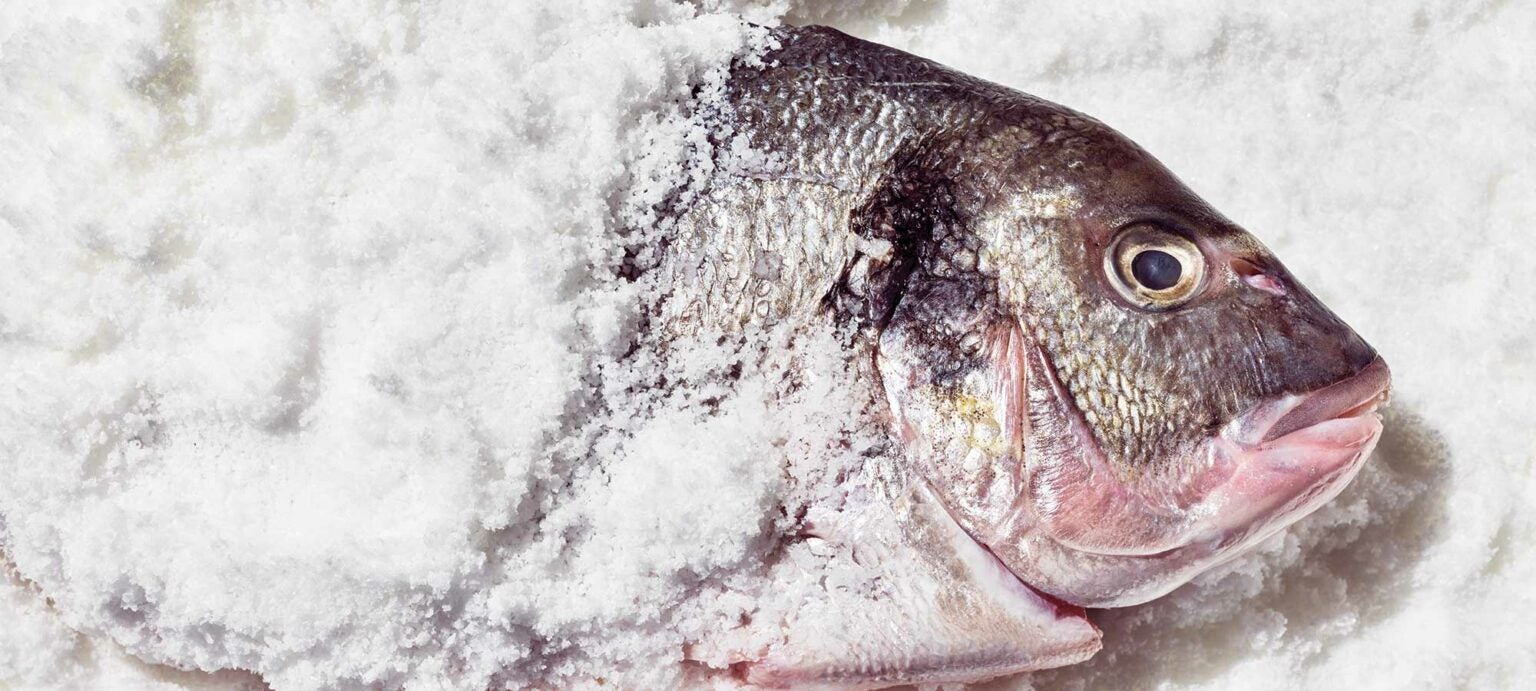 SaltBaked Sea Bream with Allioli Saveur