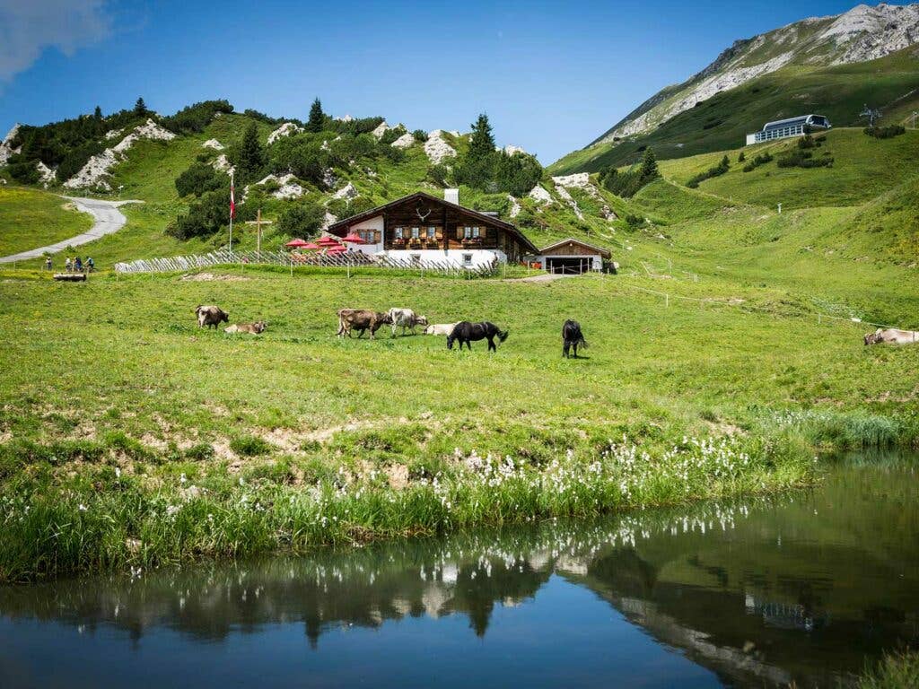 Lucian’s Kriegeralpe mountain hut