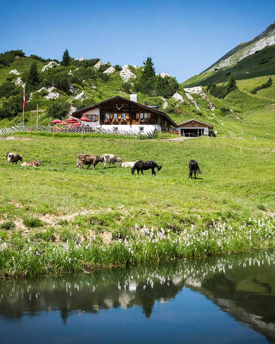 Meet the Village Cheesemakers of Austria’s Alpine Cheese Trail