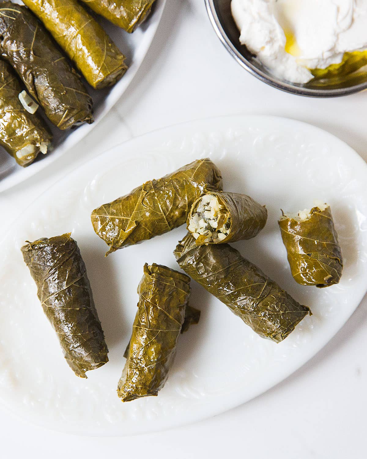 Greek Stuffed Grape Leaves With Rice and Herbs (Dolmadakia) Greek Stuffed Grape Leaves With Rice and Herbs (Dolmadakia)