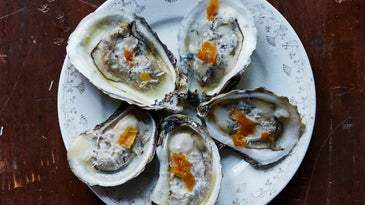 Grilled Oysters with Pecorino and Shaved Bottarga